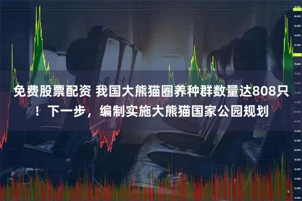 免费股票配资 我国大熊猫圈养种群数量达808只！下一步，编制实施大熊猫国家公园规划