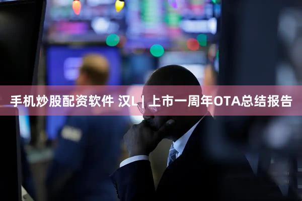 手机炒股配资软件 汉L | 上市一周年OTA总结报告